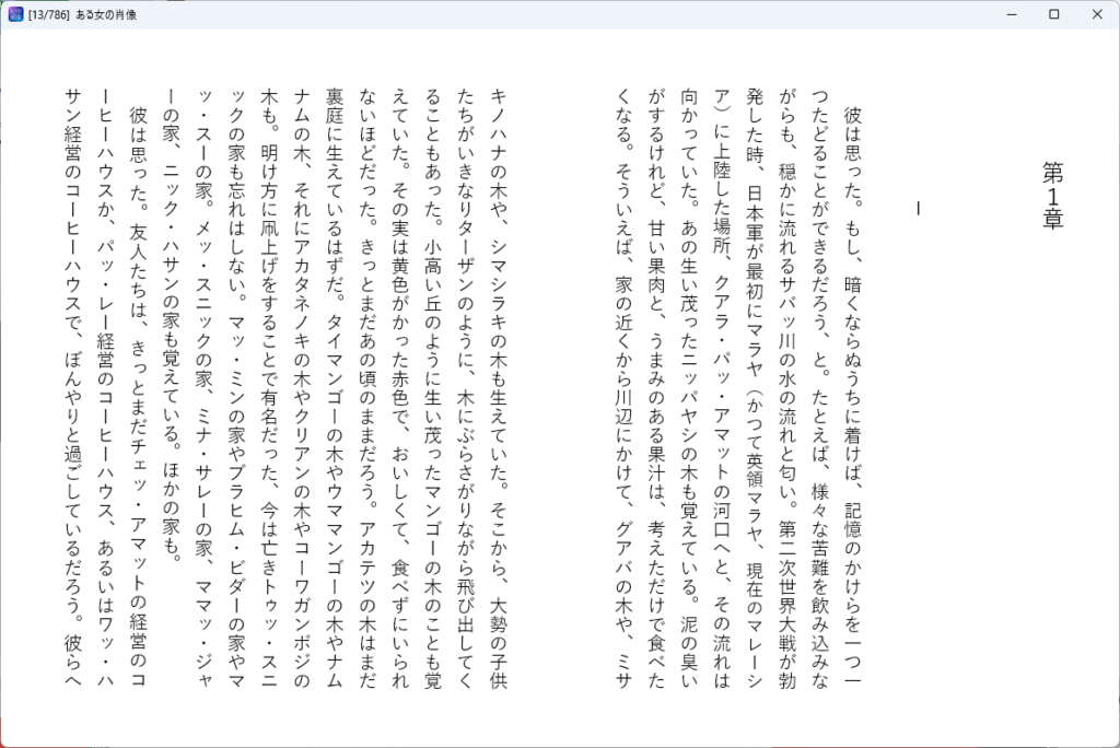 epub リーダー 縦書き ハイライト コピー 人気 windows